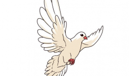 鸽子漫画图片,趣味横生的日常生活趣事